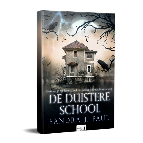 De Duistere School - Sandra J Paul