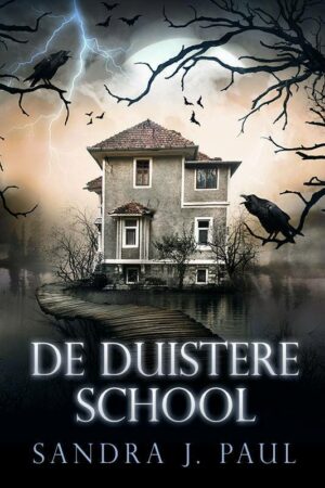 De duistere school - Sandra J Paul