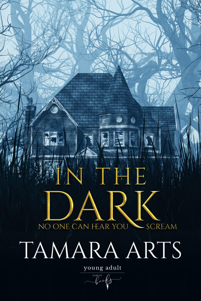 In the dark tamara arts hamleybooks youngadult thriller