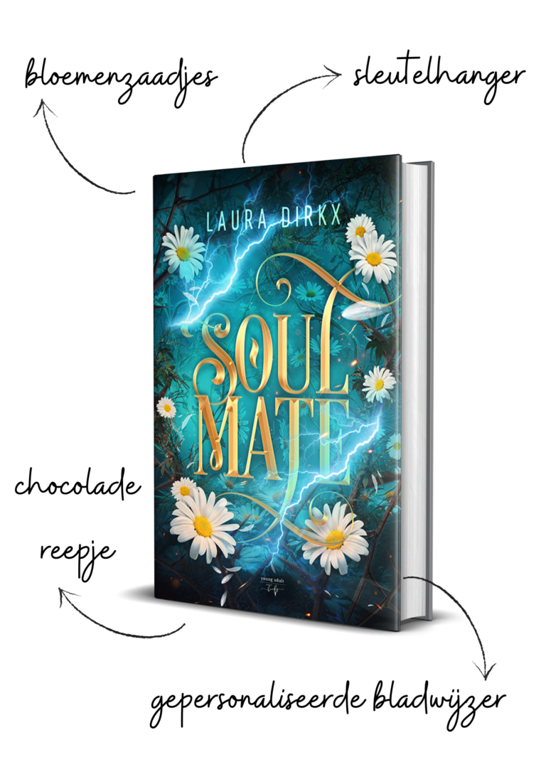 Soulmate Box - HamleyBooks -Laura Dirkx