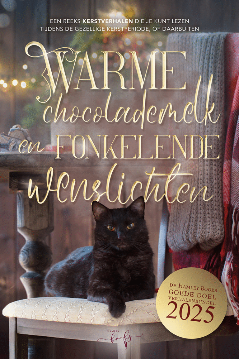 Kerstbundel Goede Doel HamleyBooks Warme chocolademelk en fonkelende wenslichten